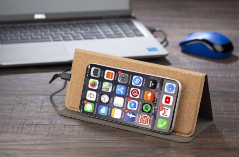 Ładowarka indukcyjna LEVORA