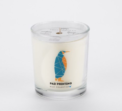 Świeca sojowa 170g - Lemongrass & Ginger - VERA YOUNG