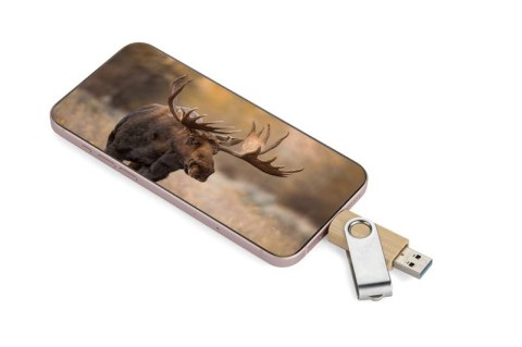 Pamięć USB TWISTER-PRO 32GB 3.0 OTG