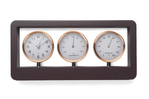 Stacja pogody METEOR