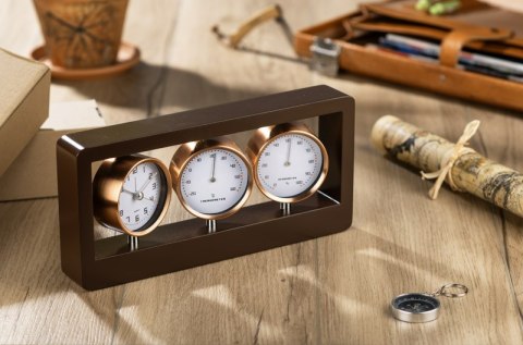 Stacja pogody METEOR